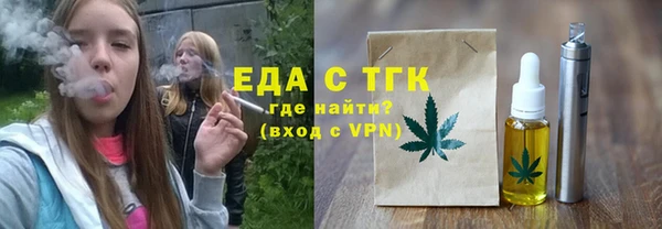 индика Бородино