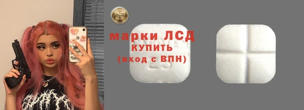 индика Бородино