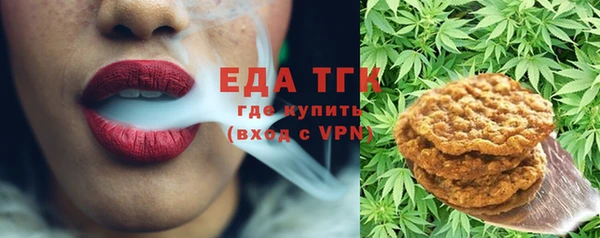 индика Бородино