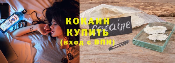 индика Бородино