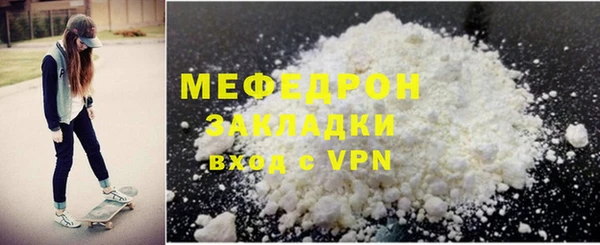 индика Бородино